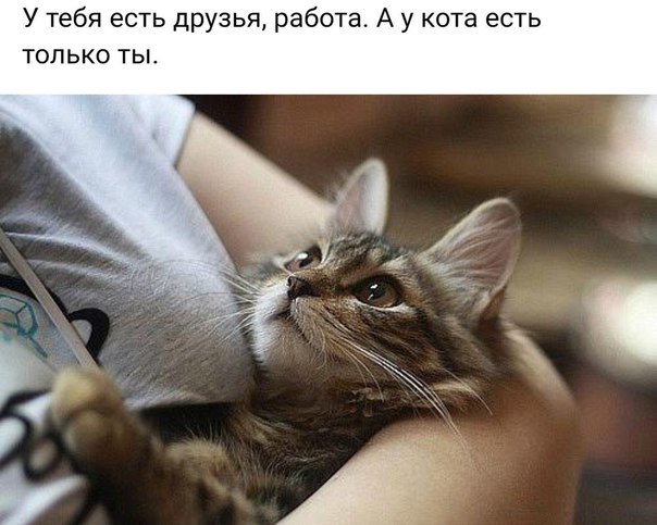    - 6  2019  03:38