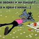  Nikolya .,  -  22  2019    