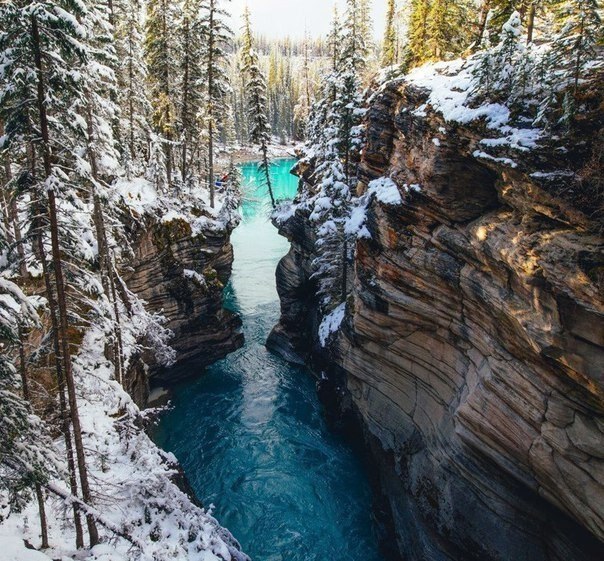 ��������, ������