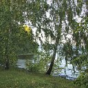  , , 68  -  22  2019    2019