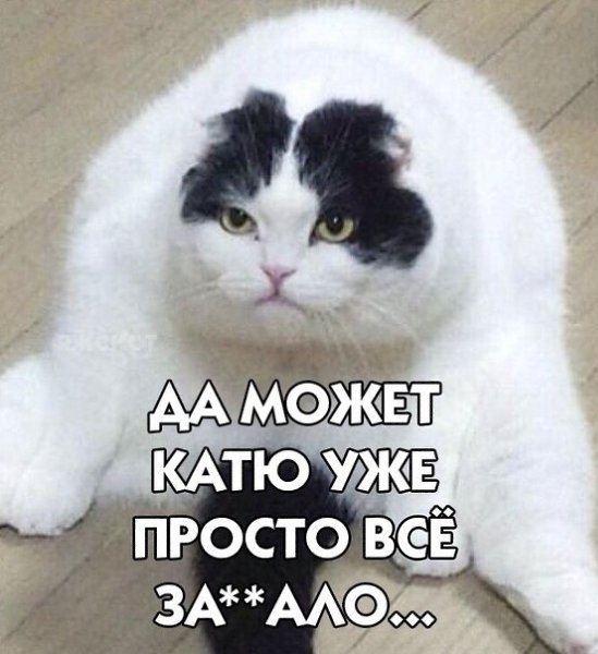   .  ... - 5