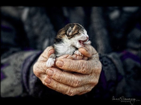 �������� � ���� �������� - 2