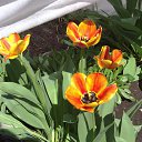 ���� �������, ��������������, 41 ��� - ��������� 25 ������ 2019 � ������ ���� ����������