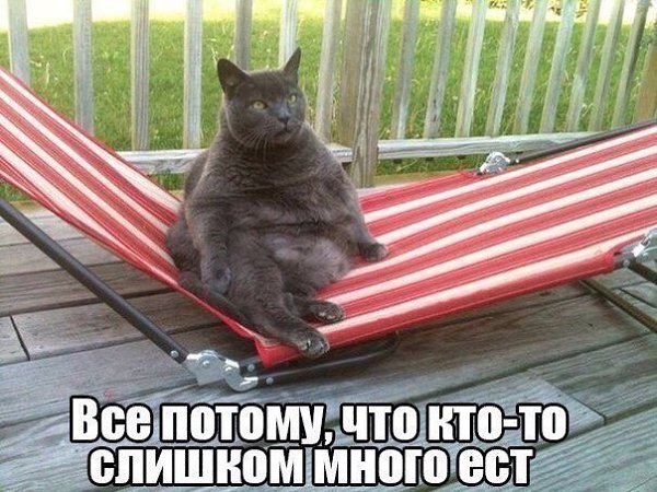    - 29  2019  18:40