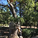 ���� ������, ����� - ��������� 24 ������ 2019 � ������ ������ ����� ����� , �������� 2019�