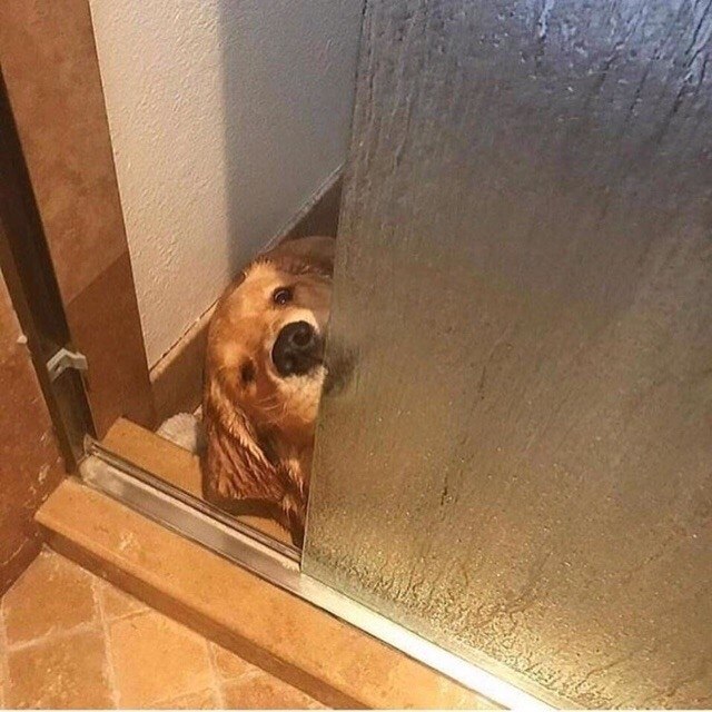 Moe  ac , aoap pcaoy a ax oe.   o o ... - 9