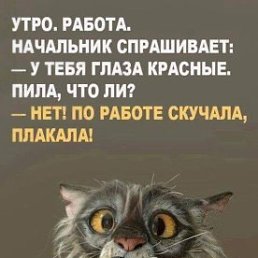 ���� ���������, ����������� - ��������� 11 ������ 2019