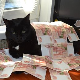 �����, ������������, 41 ���