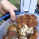 ���� Tadeusz, �����, 63 ���� - ��������� 14 ���� 2019 � ������ ���� ����������