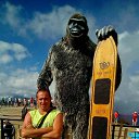 ���� ��������, �������, 48 ��� - ��������� 26 �������� 2019 � ������ ���� ����������