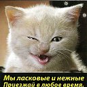 ���� ���, �����-���������, 77 ��� - ��������� 19 ������ 2019 � ������ ���� ����������