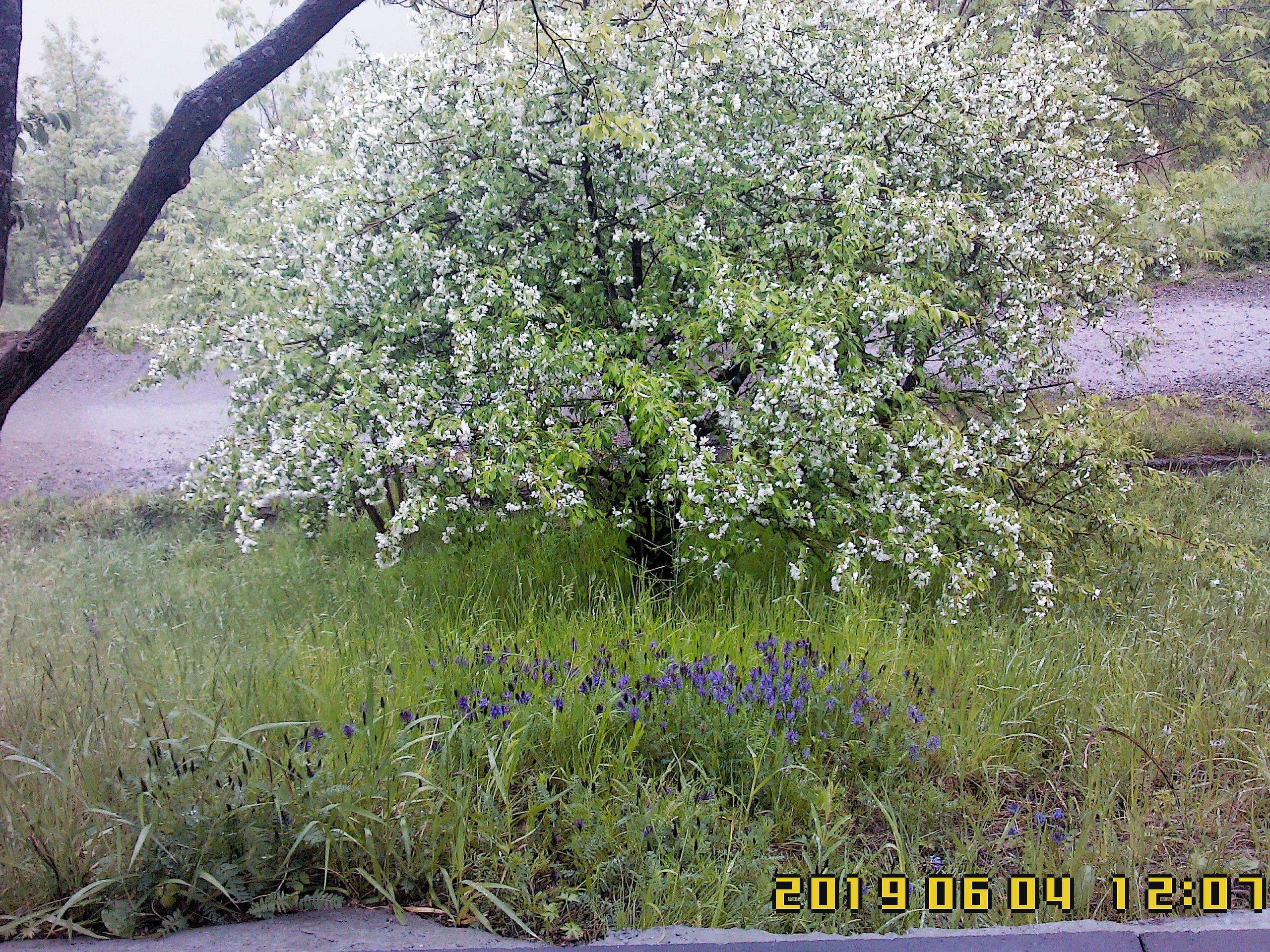  - 4  2019  12:33 - 5