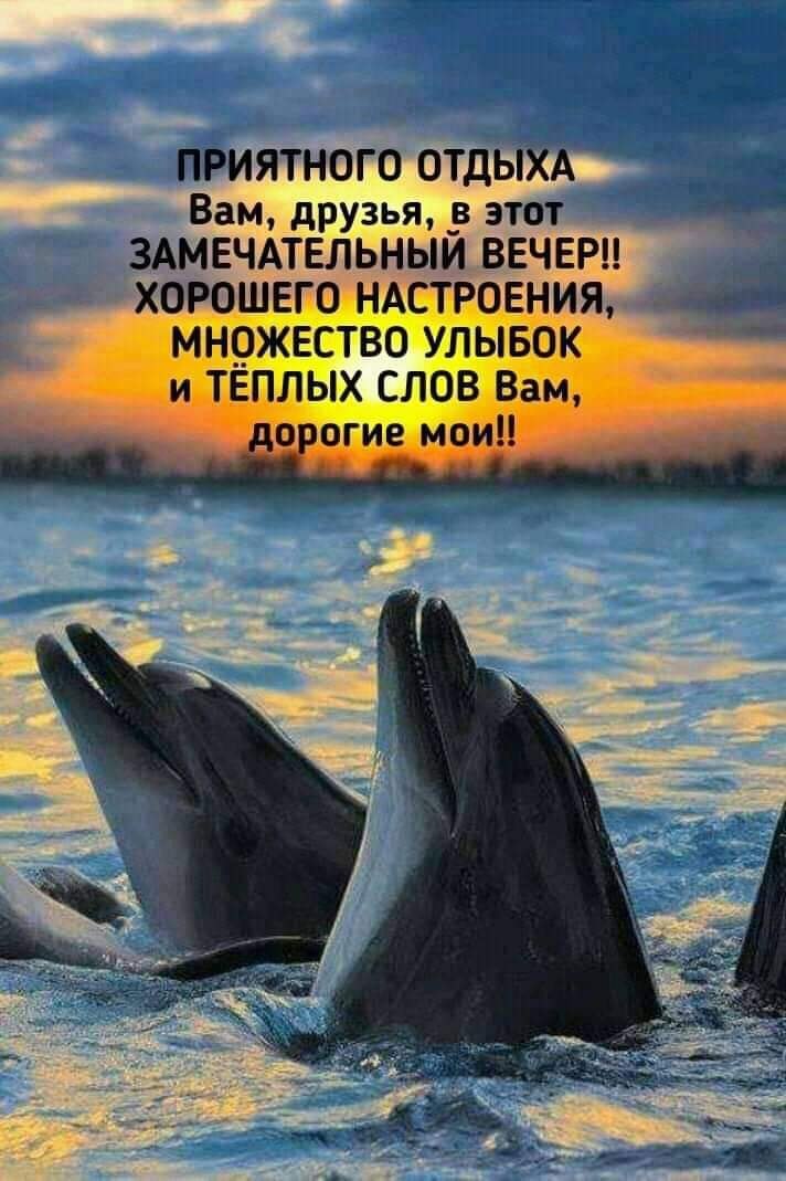  - 14  2019  10:41