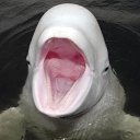 ���� ����, ���������, 75 ��� - ��������� 30 ������ 2019 � ������ ������ ��������