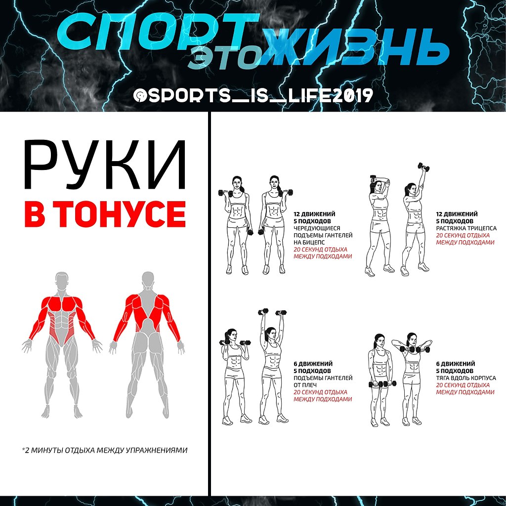 РУКИ В ТОНУСЕ.Крепкие, подтянутые мышцы дают вам полный контроль над своим телом и в каким-то ...