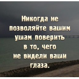 ���� ��������, ������, 42 ���� - ��������� 2 �������� 2019