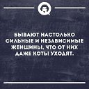 ���� ����, ������ - ��������� 9 ������ 2019 � ������ ������
