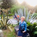 ���� �������, ����� - ��������� 17 ������� 2019 � ������ ���� ����������