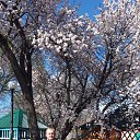  , -, 48  -  18  2019    