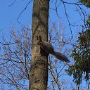 ���� ����, �����������, 50 ��� - ��������� 6 ������ 2019 � ������ ������������� ���