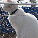  ,  -  5  2019      2019