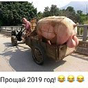 ���� ������, �������, 48 ��� - ��������� 28 ������� 2019