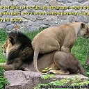 ���� Sergey, �����, 54 ���� - ��������� 26 ������� 2019 � ������ �����Ż
