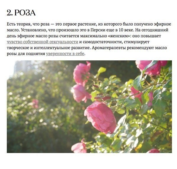 Запахи, которые взбодрят, успокоят и подарят радость.#полезное@ican - 2