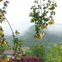 ���� �������, �������, 65 ��� - ��������� 3 ���� 2019 � ������ ���� ����������