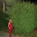 ���� �������, ����, 40 ��� - ��������� 25 ������� 2019 � ������ ���� ����������