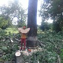 ���� �����, �����, 31 ��� - ��������� 25 �������� 2019 � ������ ���� ����������