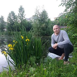 ���� ���������, ����������, 45 ��� - ��������� 23 ������ 2019