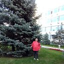  , , 65  -  21  2019    λ