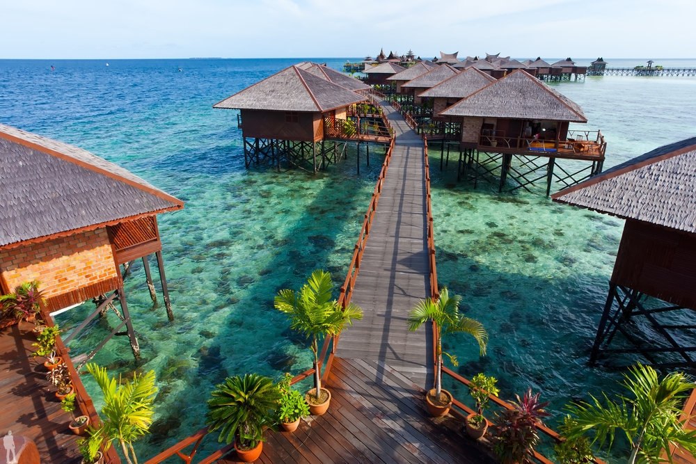 �����..��� ��� ��������. ������ � ���� �������� � ������� ����������� �������� ���������� ...