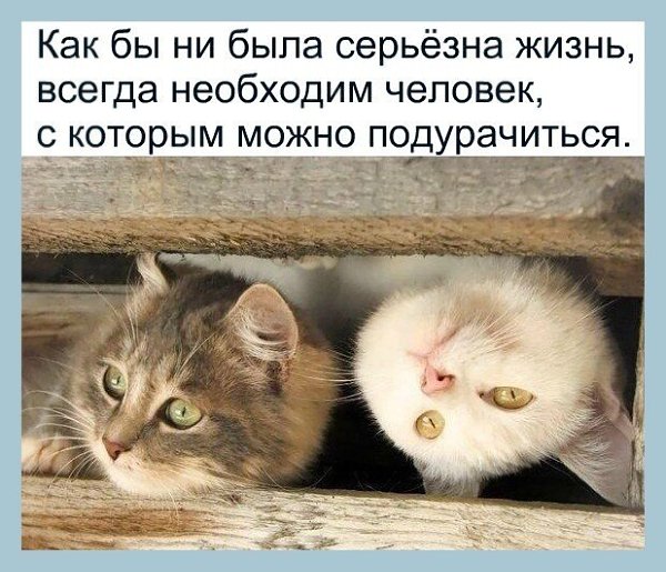 ☆ ☆ - 31  2019  20:31