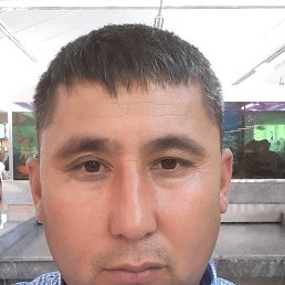 �����, ����������, 42 ����