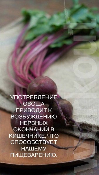 А вы знаете, что свекла — СУПЕРФУД? Ловите несколько фактов о свекле! #полезное@ican - 8