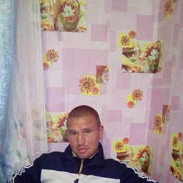 ��������, ���������, 41 ���