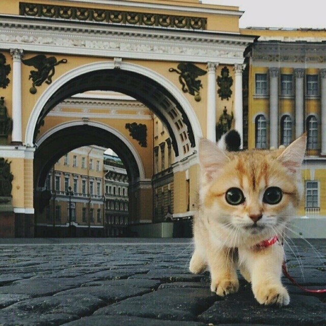 Нa этои фотoграфии пpекрасно все.