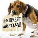 ���� ����, ������, 58 ��� - ��������� 26 ������� 2019 � ������ ���� ����������