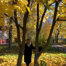 ������, �����-���������, 65 ���