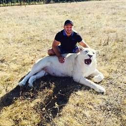 �����, ������, 43 ����