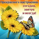 ���� �������, ������, 63 ���� - ��������� 11 ������� 2019 � ������ ���� ����������