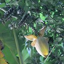 ���� ���������, ���������, 58 ��� - ��������� 31 ������� 2019