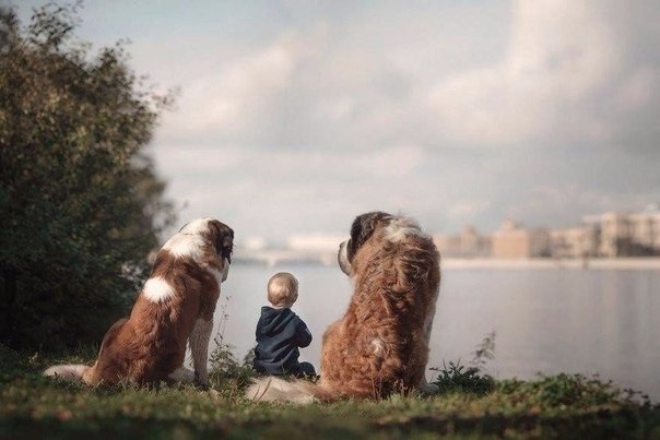 k    o ok. o o:  o. |   - 8