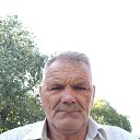 ���� �������, ����, 72 ���� - ��������� 23 ������� 2019