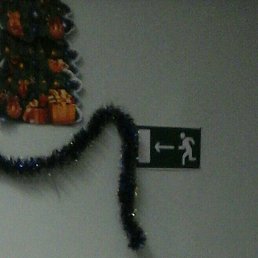 ���� �������, ������, 54 ���� - ��������� 9 ������� 2019