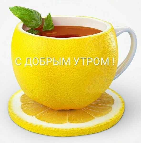   ,    . - 24  2019  22:59