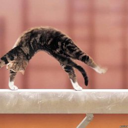 ���, ���������, 27 ���