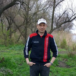 ������, �������-����������, 54 ����